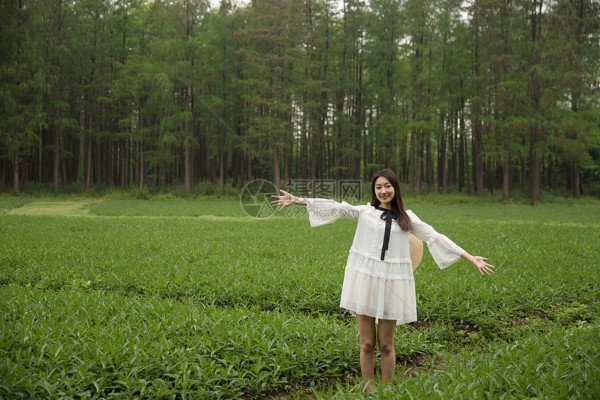 武汉汪家墩，品味人生，尽在这一杯茶中